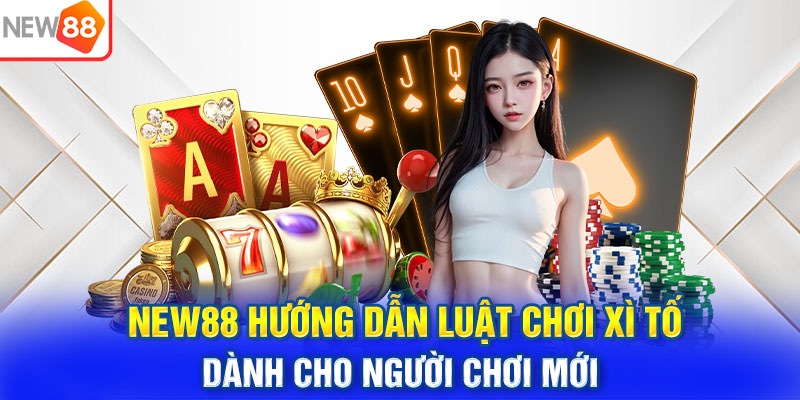 NEW88 Hướng Dẫn Luật Chơi Xì Tố Dành Cho Người Chơi Mới
