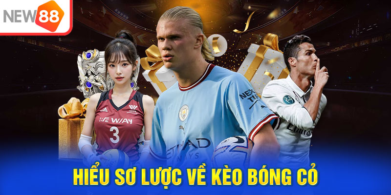 Hiểu sơ lược về kèo bóng cỏ